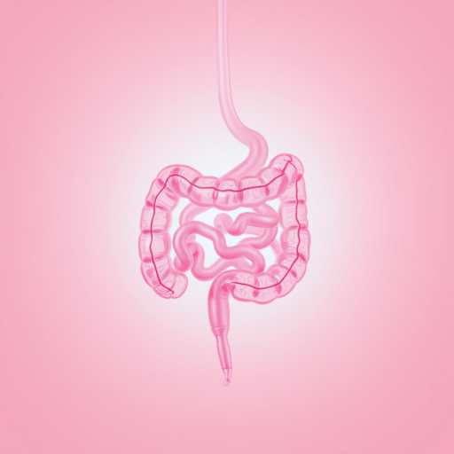 A creative pink depiction of the human digestive system set against a pink backdrop.