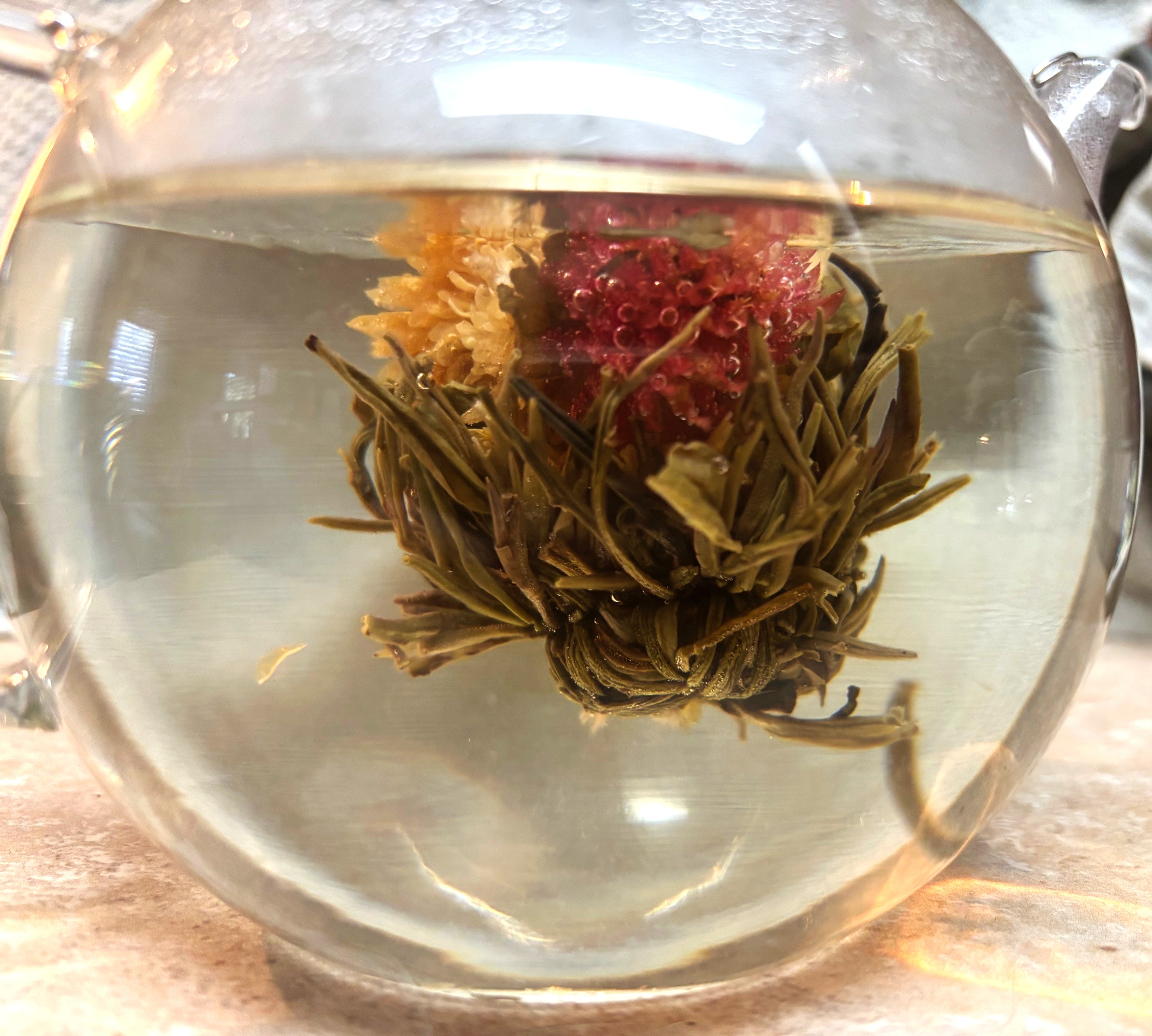 A side view of a clear teapot shows a tea pod blooming. The tea leaves are opening to reveal a dark pink and yellow flower inside from hot water dusrounding it.